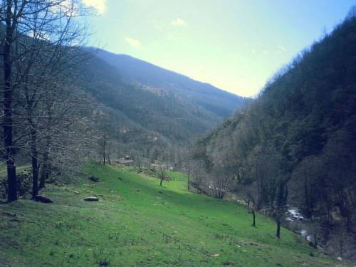 Fosciandora Italy discount booking.com