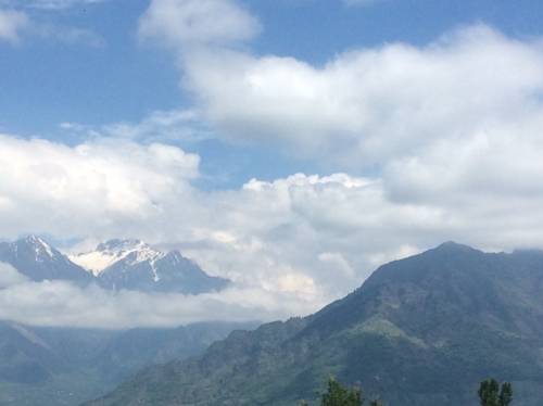 Srinagar India Reservas Promo Descuentos booking.com