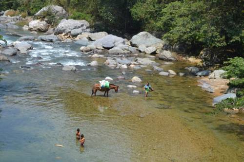 San Felipe Usila Mexico discount booking.com