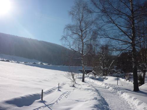 Feldberg Germany discount booking.com
