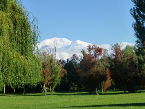 Tupungato Argentina Reservas Promo Descuentos booking.com