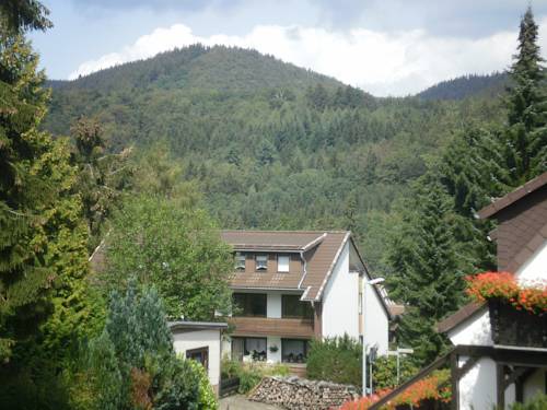 Bad Sachsa Germany discount booking.com