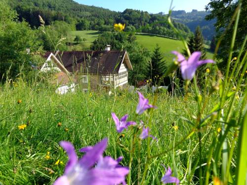 Unterdambach Austria discount booking.com
