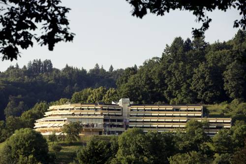 Friburgo de Brisgovia Alemania Reservas Promo Descuentos booking.com