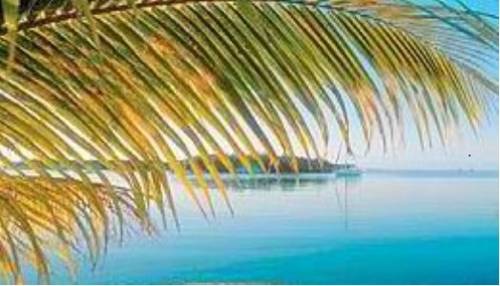 Varko Grecia Reservas Promo Descuentos booking.com