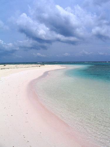 Little Cayman Cayman Islands discount booking.com