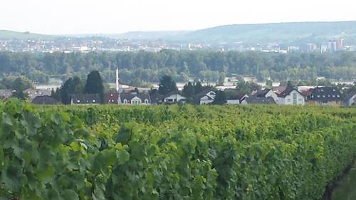 Oestrich-Winkel Germany discount booking.com