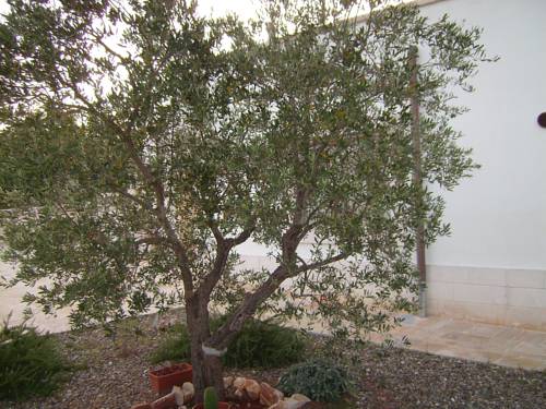 Martina Franca Italia Reservas Promo Descuentos booking.com
