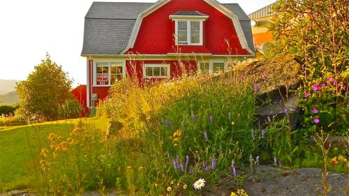 Prince Rupert (Columbia Británica) Canadá Reservas Promo Descuentos booking.com