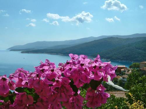 Rabac Croatia discount booking.com