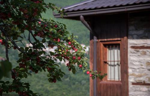 Janche macedonia Reservas Promo Descuentos booking.com