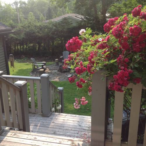 Annapolis Royal (Nova Scotia) Canada discount booking.com