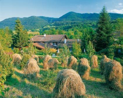 Bad Kohlgrub Germany discount booking.com