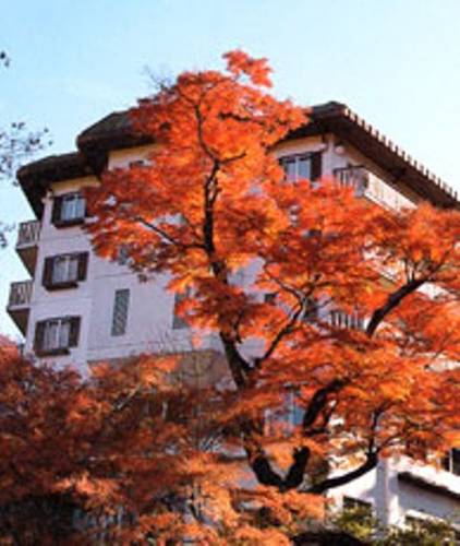 Shibukawa Japan discount booking.com