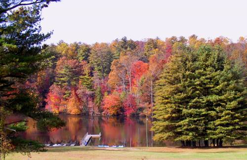 Flat Rock (North Carolina) United States discount booking.com