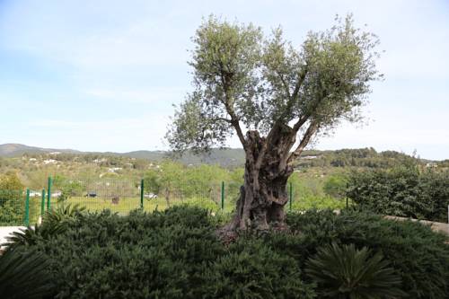 Sant Carles de Peralta Spain discount booking.com