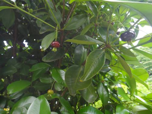 Sainte-Marie Réunion discount booking.com
