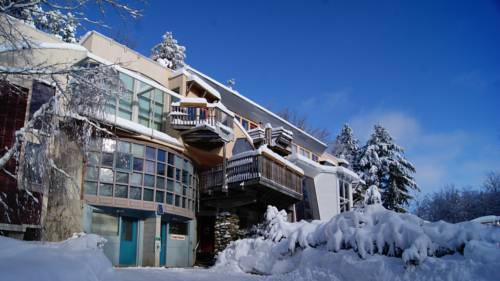 Windham (Vermont) United States discount booking.com