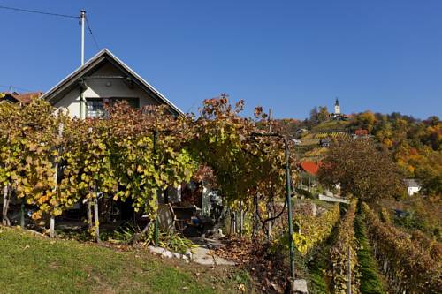 Novo Mesto Eslovenia Reservas Promo Descuentos booking.com